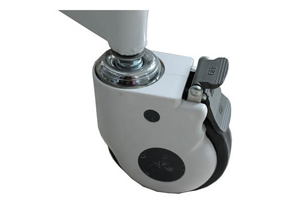 individual castor.jpg
