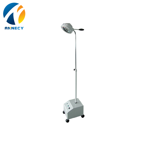 AC-HOL040.jpg